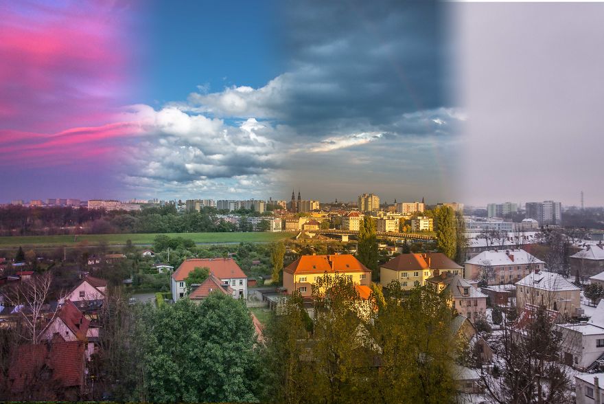 I Spent One Year Making Pictures From The Kitchen Window