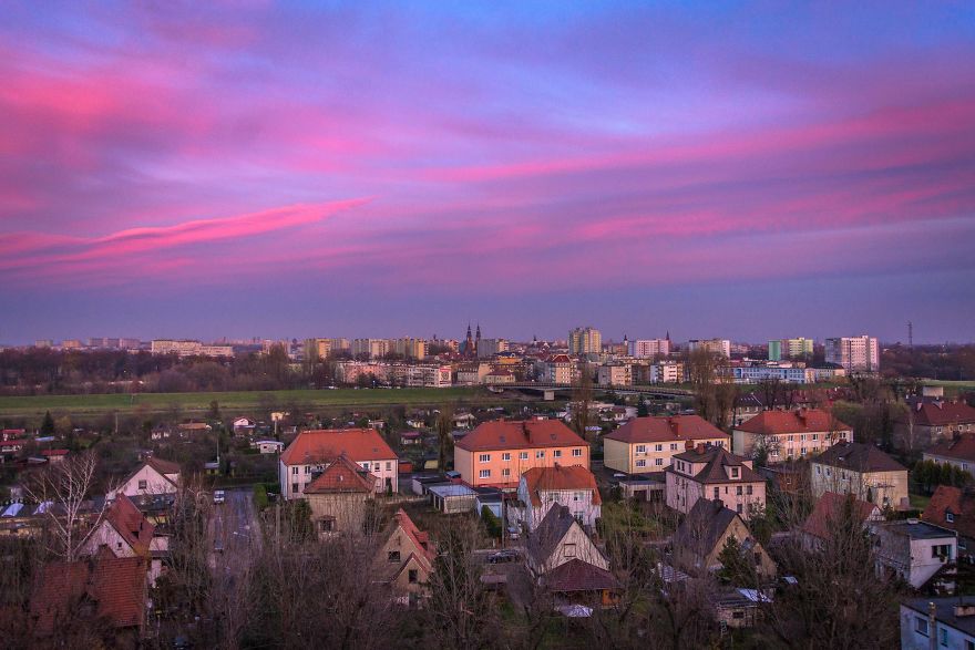 I Spent One Year Making Pictures From The Kitchen Window