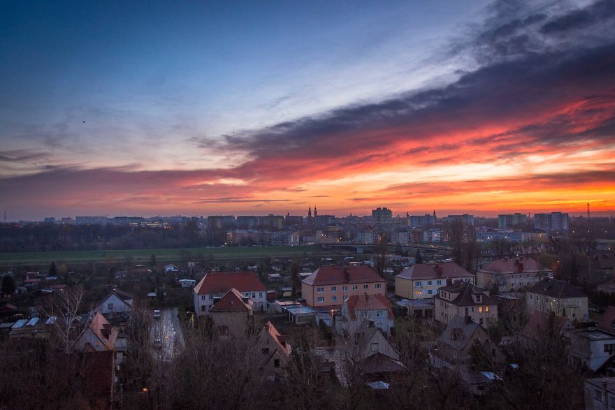 I Spent One Year Making Pictures From The Kitchen Window