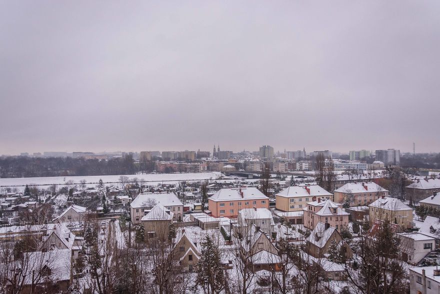 I Spent One Year Making Pictures From The Kitchen Window