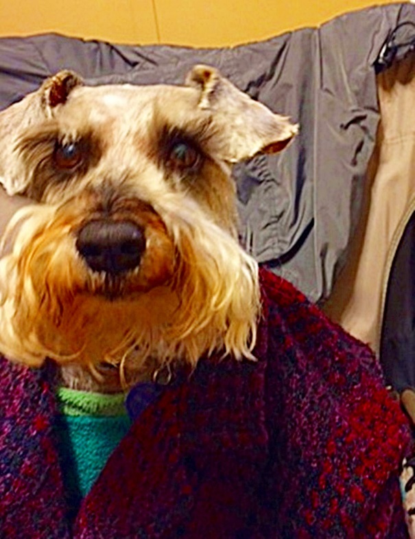 My Man Of The House.