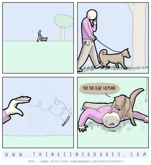Funny Animal Comics