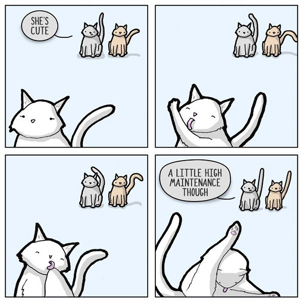 Funny Animal Comics