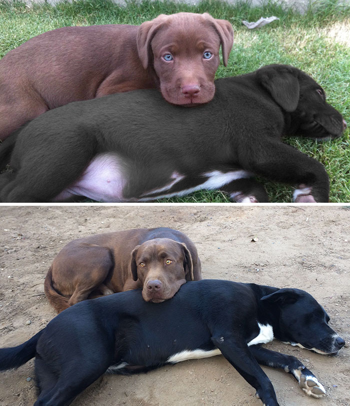 Inseparable then and now / 