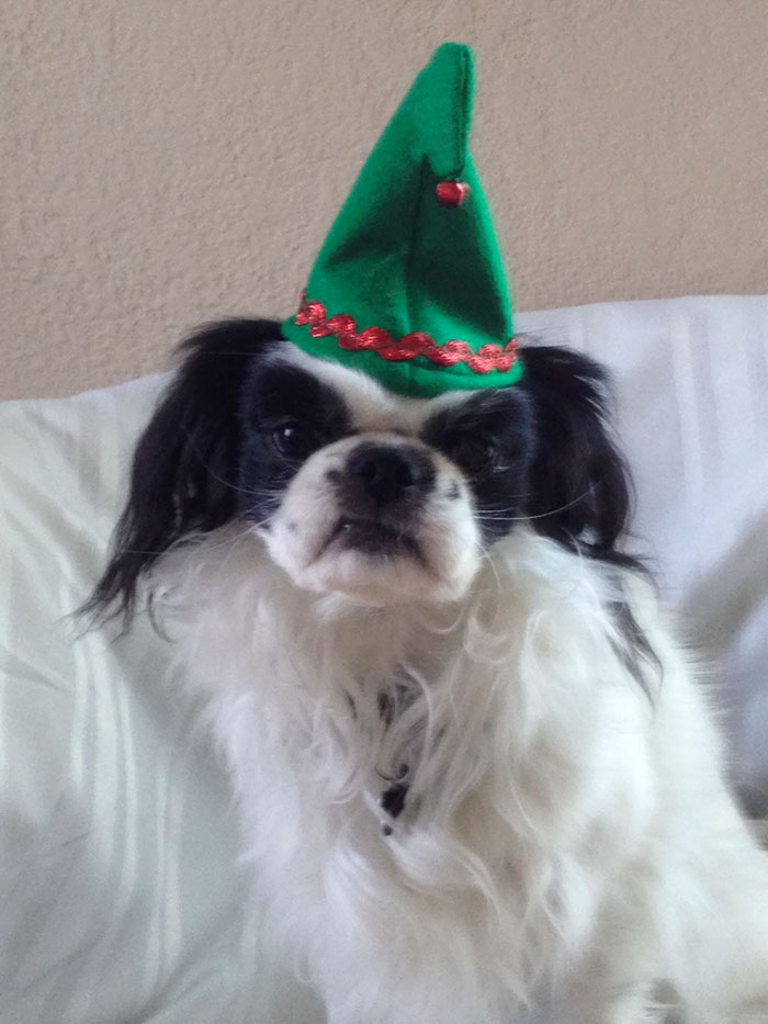 Euw, Christmas Is Making Me Sick