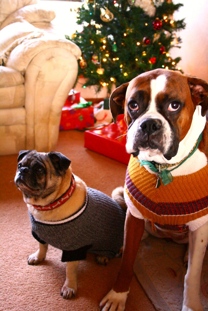 The Happiest Day Ever