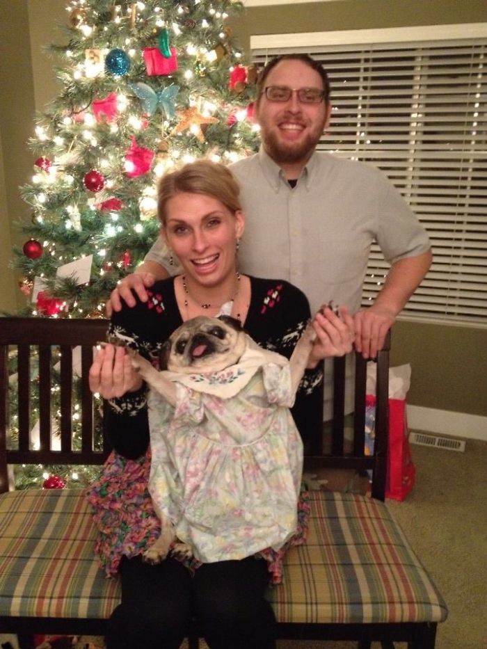 Merry Pugg'n Christmas!