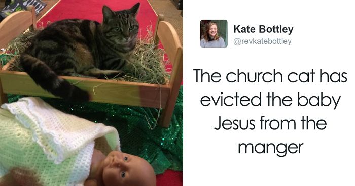 40 Pets That Hate Christmas More Than Anything