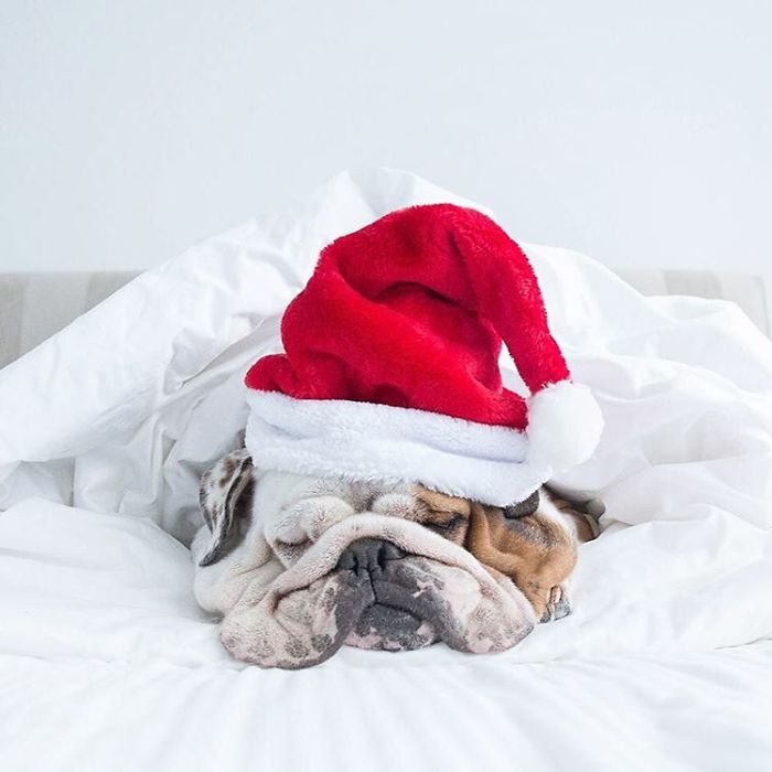 It Is That Time Of Year