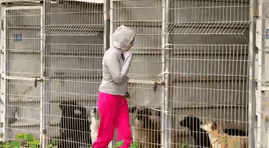 This Woman Couldn’t Decide Which Dog To Adopt So She Bought The Entire Shelter