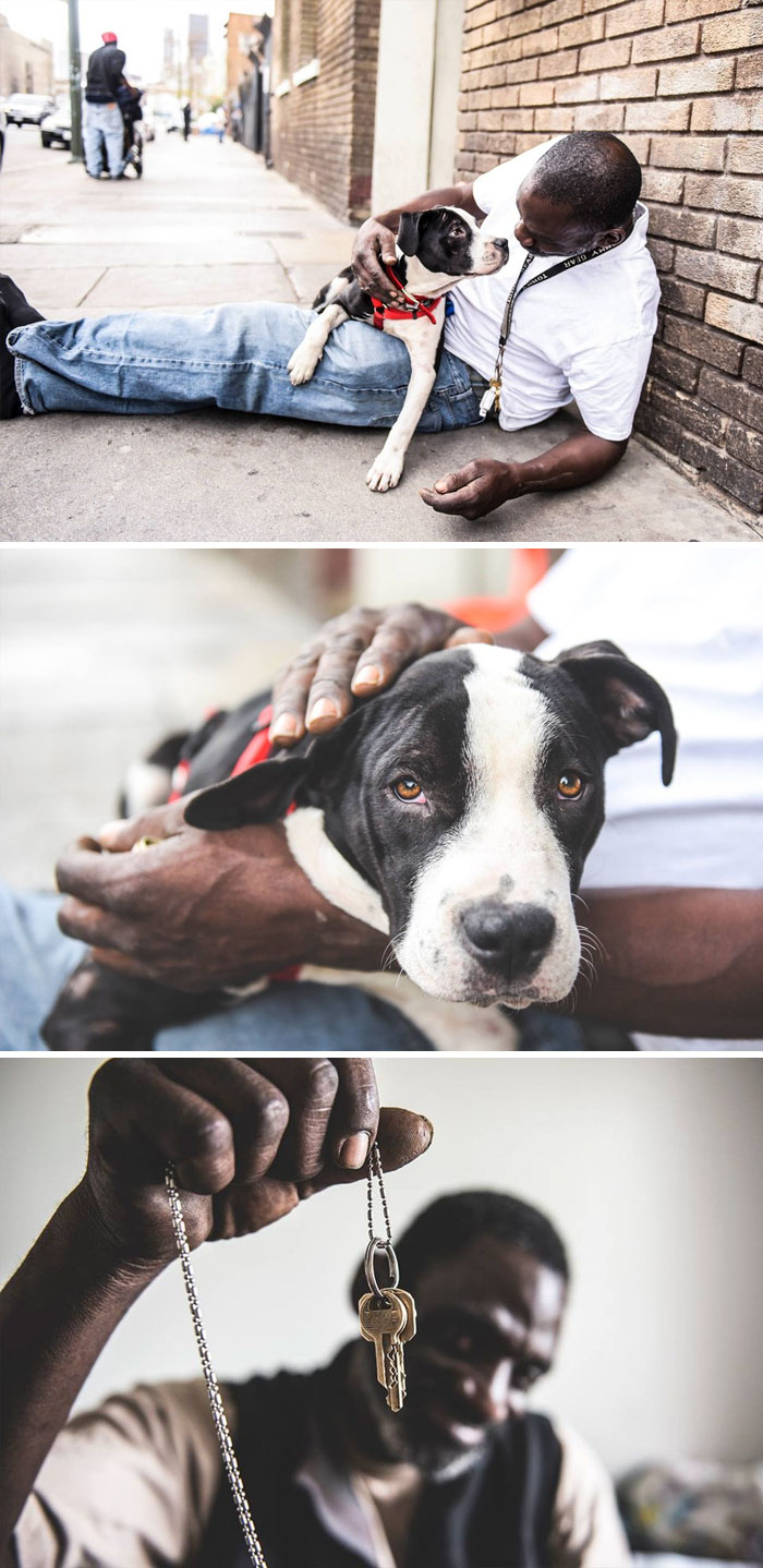 Homeless Man Gets Approved For Government-Subsidized Housing, Takes Homeless Dog To Live Together