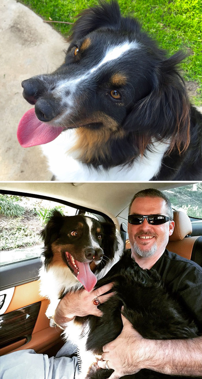 Dog With Two Noses Was Scheduled To Die But This Man Saved Him At The Last Minute