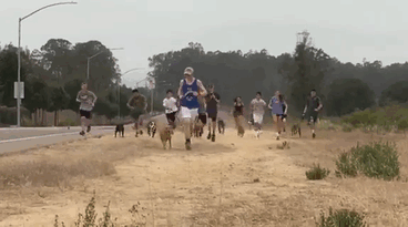 Shelter Dogs Get Invited On A Morning Run With Students, Can’t Hold Their Excitement