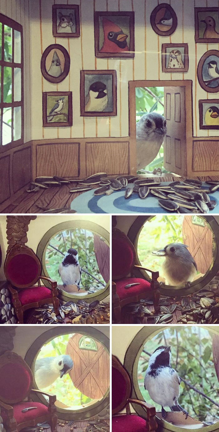 Woman Builds Tiny Houses For Birds That Visit Her