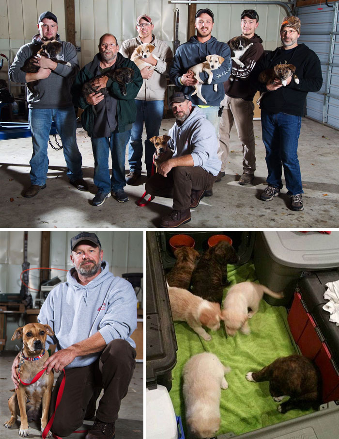 Stray Dog Leads Partying Bachelor Guys To Her 7 Newborns, They Adopt Them All