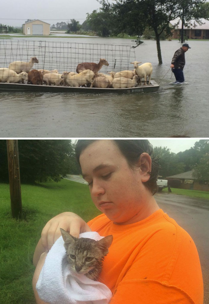 People Refuse To Leave Deadly Louisiana Floods To Save Helpless Animals From Drowning