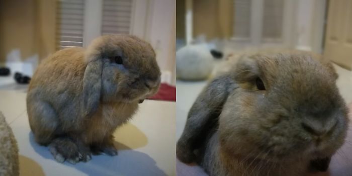 "huh? Are You Talking To Me?"