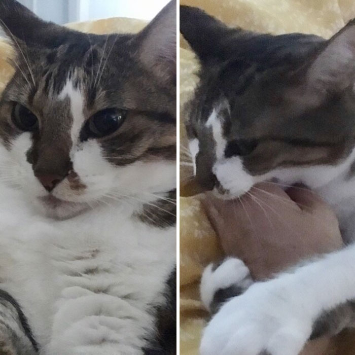 Before And After Being Called A Good Girl