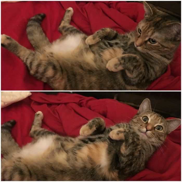 Calypso, Before And After Being Called A Good Girl