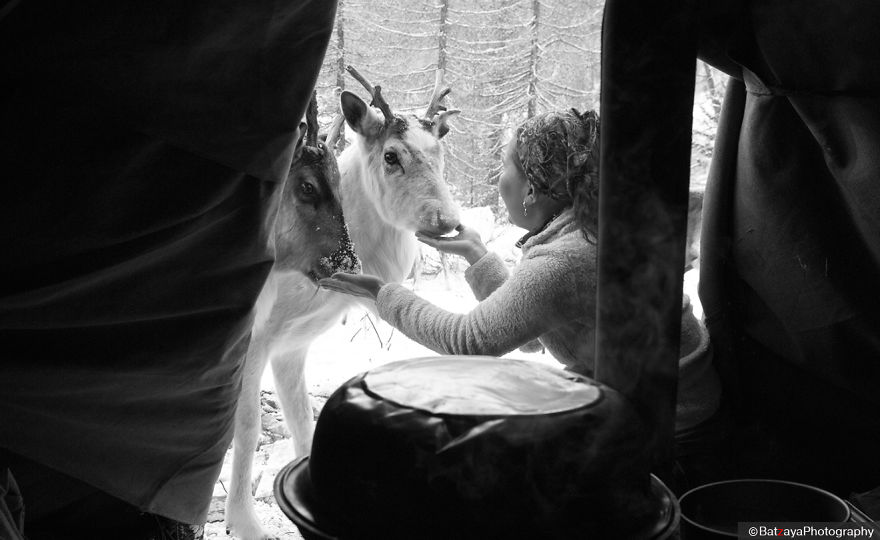 I Documented Mongolia's Mystical Tsaatan Reindeer People I Documented Mongolia's Mystical Tsaatan Reindeer People