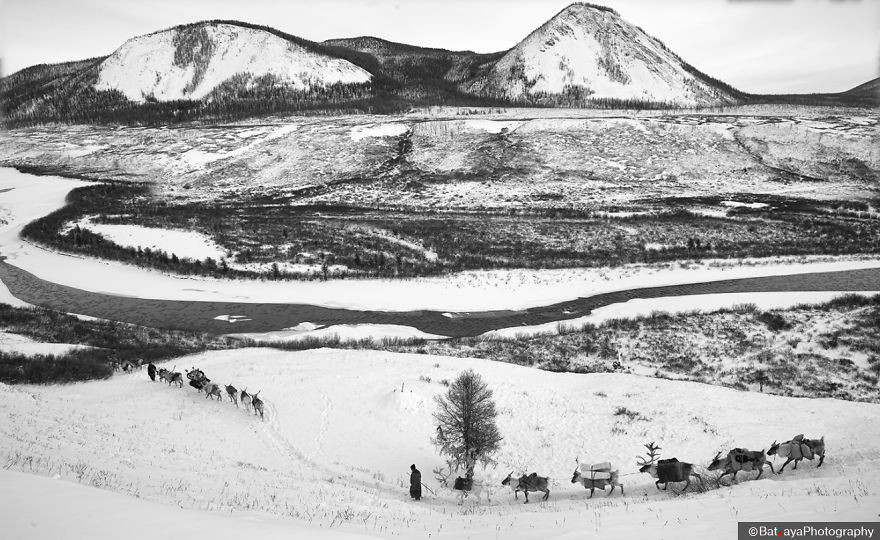 I Documented Mongolia's Mystical Tsaatan Reindeer People