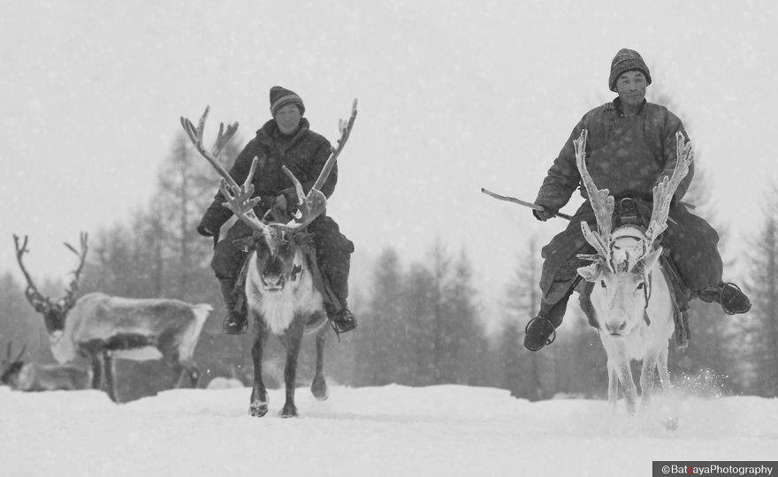 I Documented Mongolia's Mystical Tsaatan Reindeer People I Documented Mongolia's Mystical Tsaatan Reindeer People