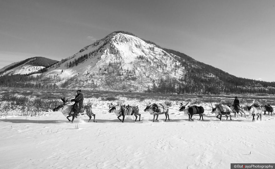 I Documented Mongolia's Mystical Tsaatan Reindeer People I Documented Mongolia's Mystical Tsaatan Reindeer People