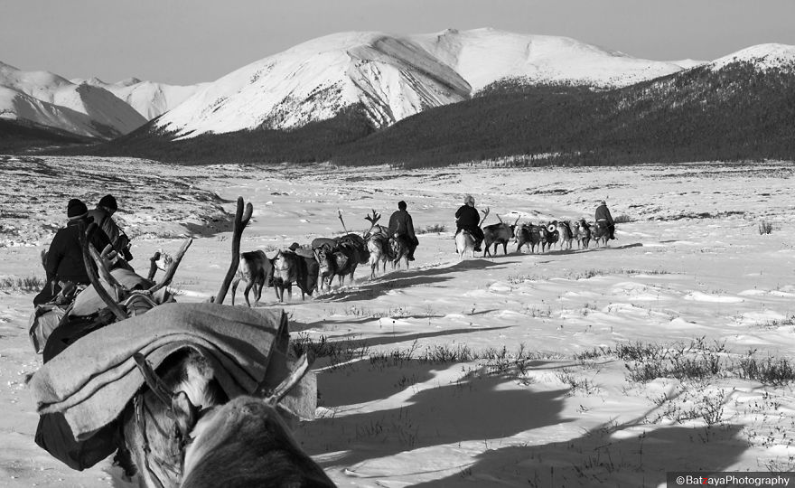 I Documented Mongolia's Mystical Tsaatan Reindeer People I Documented Mongolia's Mystical Tsaatan Reindeer People