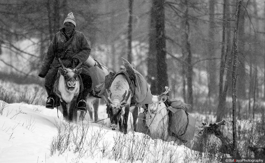 I Documented Mongolia's Mystical Tsaatan Reindeer People I Documented Mongolia's Mystical Tsaatan Reindeer People