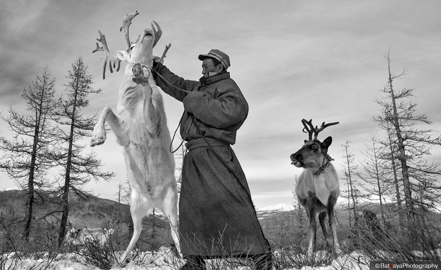 I Documented Mongolia's Mystical Tsaatan Reindeer People I Documented Mongolia's Mystical Tsaatan Reindeer People