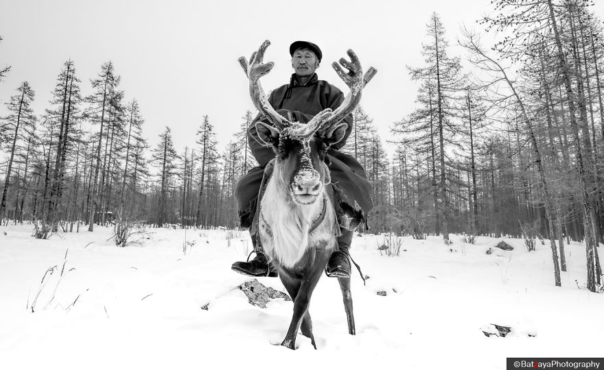 I Documented Mongolia's Mystical Tsaatan Reindeer People