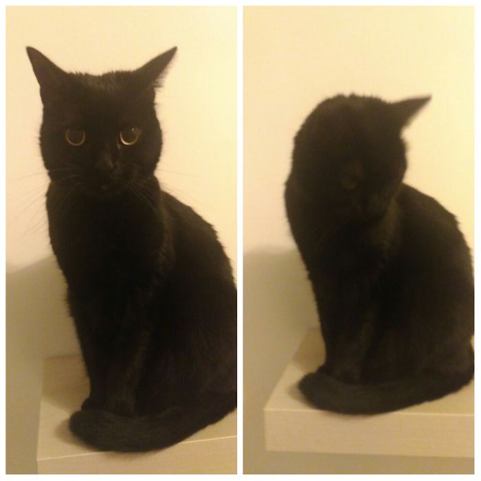 I Am Not Sure If She Was Good...