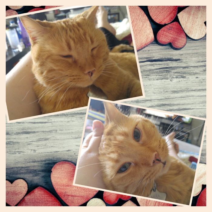 Who's A Good Girl, Mika-meeks?