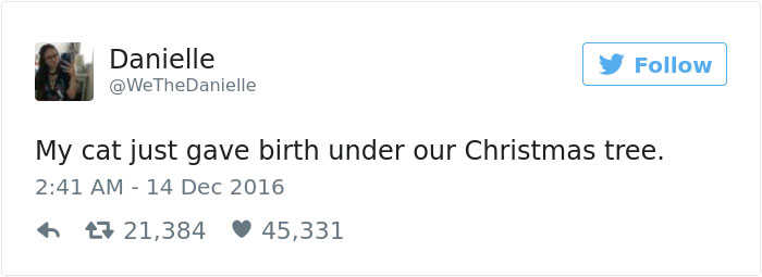 cat-gives-birth-under-christmas-tree-1 cat-gives-birth-under-christmas-tree-1