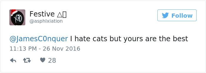 cats-kissing-in-love-louie-luna-02 cats-kissing-in-love-louie-luna-02