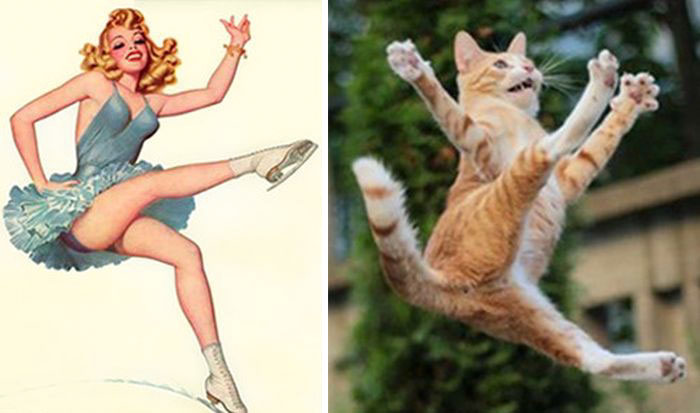Cat Pin Up