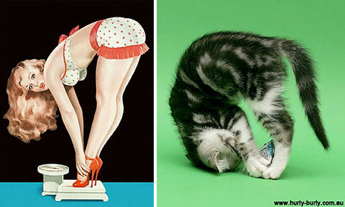 Cat Pin Up