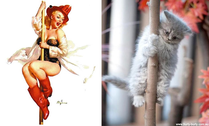 Cat Pin Up