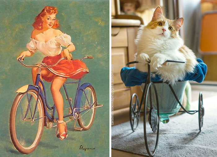 Cat Pin Up