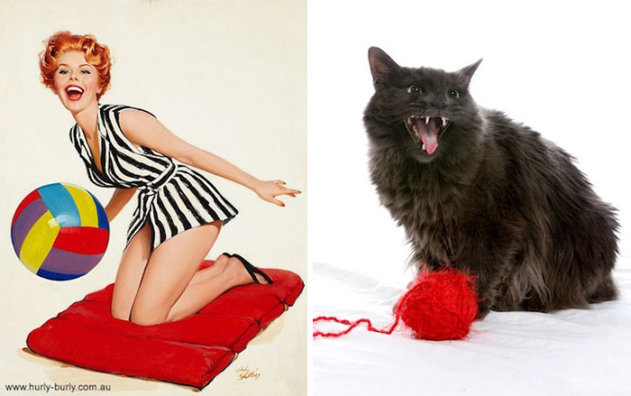 Cat Pin Up