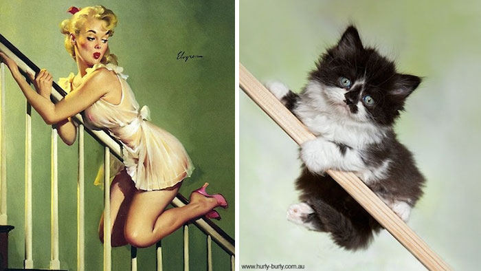 Cat Pin Up