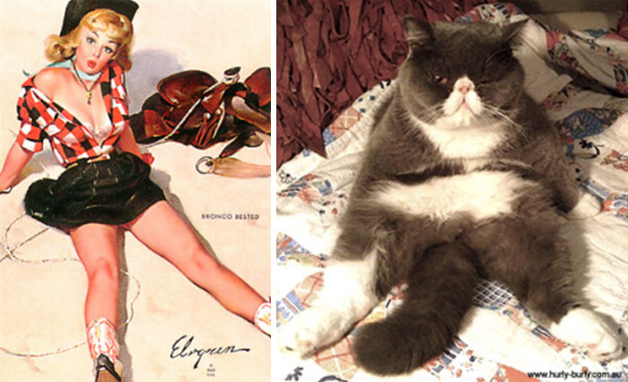 Cat Pin Up