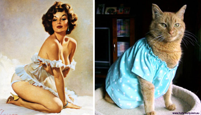Cat Pin Up
