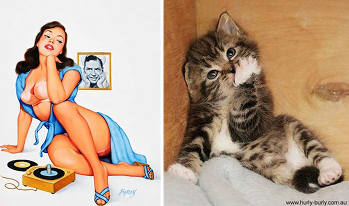 Cat Pin Up