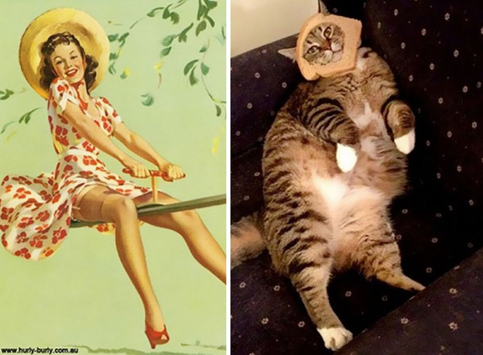 Cat Pin Up