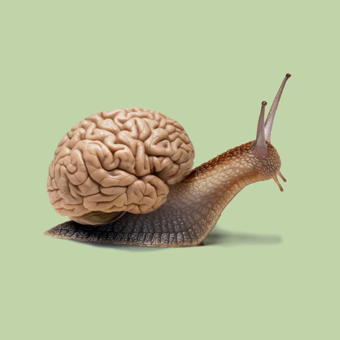 I Merge Two Non-Related Objects Into One