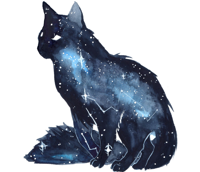 I Make Dreamy Galaxy Animals Using Watercolor
