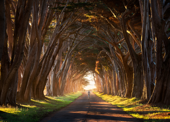 I Just Travelled 24.000km Through North America And Took Home These Incredible Pictures