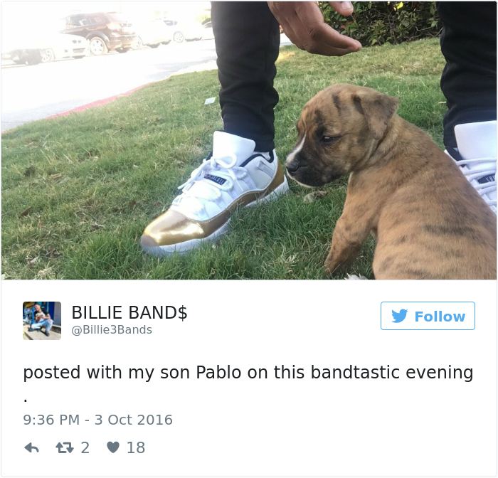 dog-cleans-pee-toilet-paper-Pablo-1