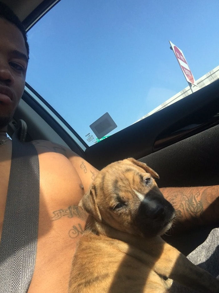 dog-cleans-pee-toilet-paper-Pablo-3 dog-cleans-pee-toilet-paper-Pablo-3